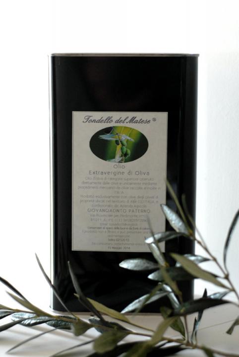 L’olio extravergine di oliva Tondello del Matese
