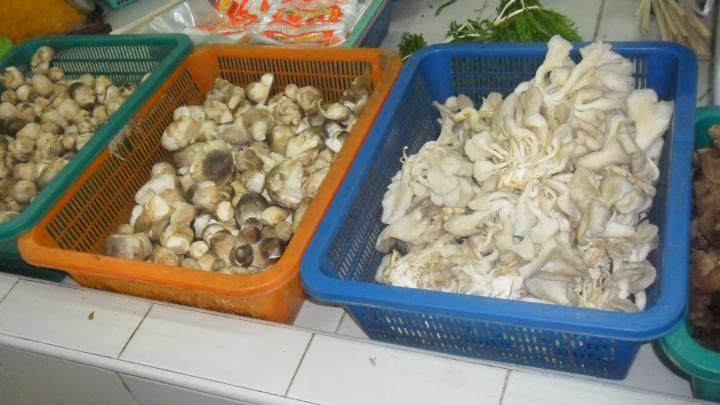 Funghi Thai