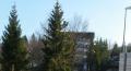 A Piancavallo è ancora Natale: albero
​addobbato e messaggi di auguri