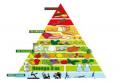 Dieta mediterranea, la moderna Piramide: ecco come mangiare sano e dimagrire subito - Centro Meteo Italiano
