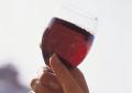Firenze, 1 milione di euro ricavato da asta di etichette rare vino - Vino - ANSA.it