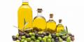 Olio di oliva: tutte le caratteristiche da conoscere